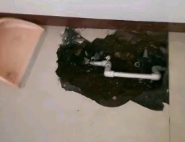朗县卫生间测漏水多少钱